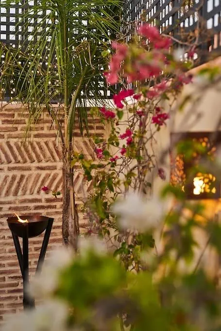Riad Miloud En Exclusivite 10 P Au Coeur De La Medina Marrakesh